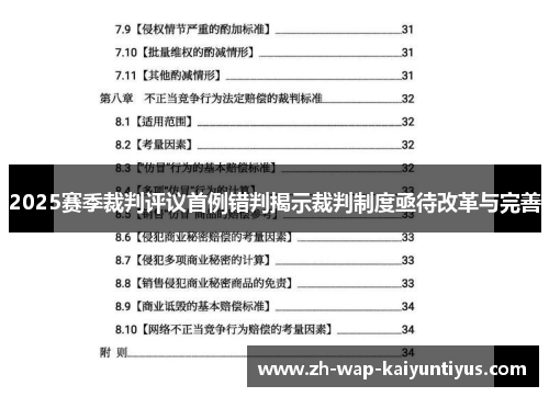 2025赛季裁判评议首例错判揭示裁判制度亟待改革与完善