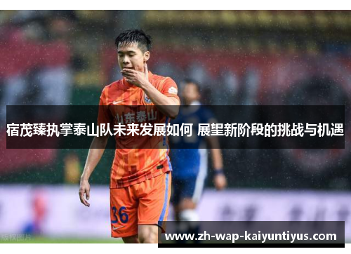 宿茂臻执掌泰山队未来发展如何 展望新阶段的挑战与机遇