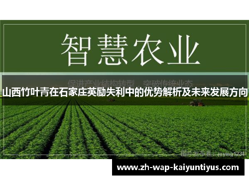 山西竹叶青在石家庄英励失利中的优势解析及未来发展方向
