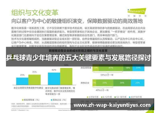 乒乓球青少年培养的五大关键要素与发展路径探讨