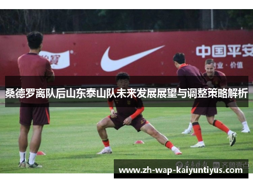 桑德罗离队后山东泰山队未来发展展望与调整策略解析