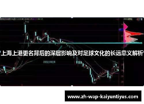 上海上港更名背后的深层影响及对足球文化的长远意义解析