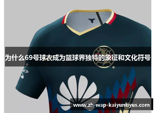 为什么69号球衣成为篮球界独特的象征和文化符号