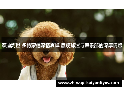 泰迪离世 多特蒙德深情哀悼 展现球迷与俱乐部的深厚情感