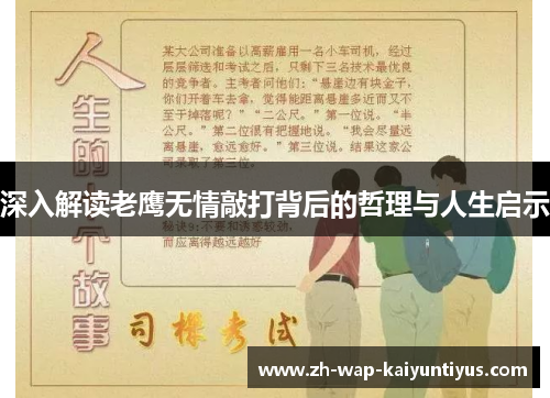 深入解读老鹰无情敲打背后的哲理与人生启示