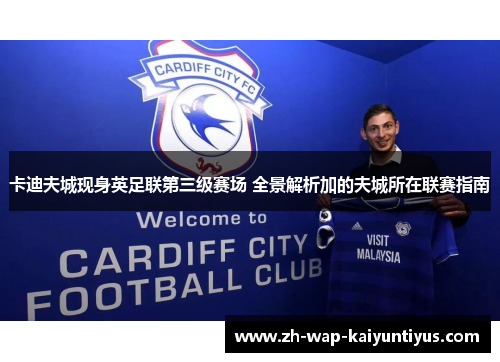 卡迪夫城现身英足联第三级赛场 全景解析加的夫城所在联赛指南