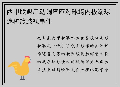 西甲联盟启动调查应对球场内极端球迷种族歧视事件